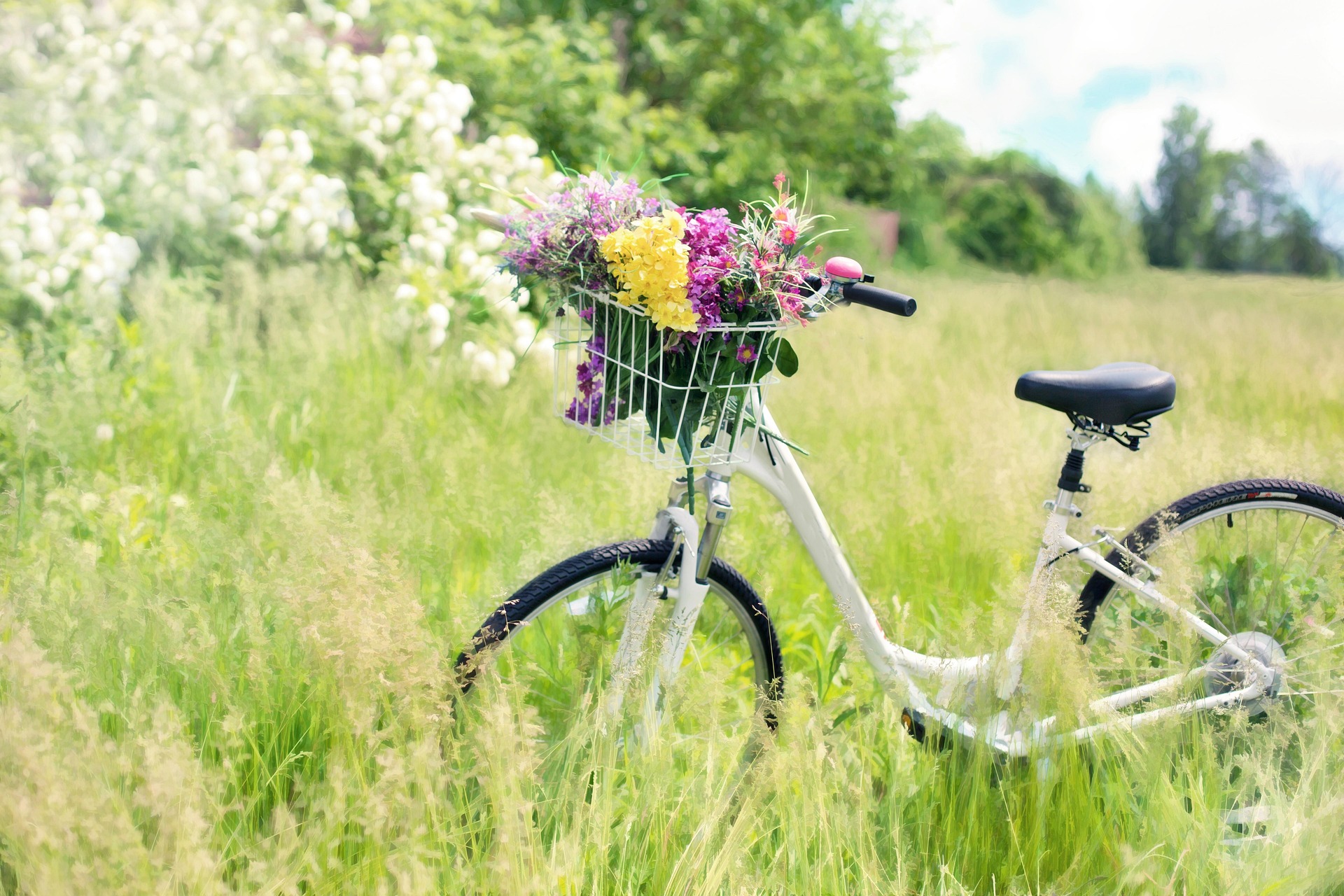 Fahrrad mit Blumen im Fahrradkorb auf einer Wiese