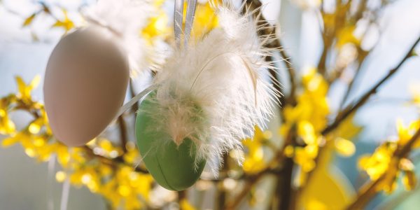 easter-eggs-7106934_1280